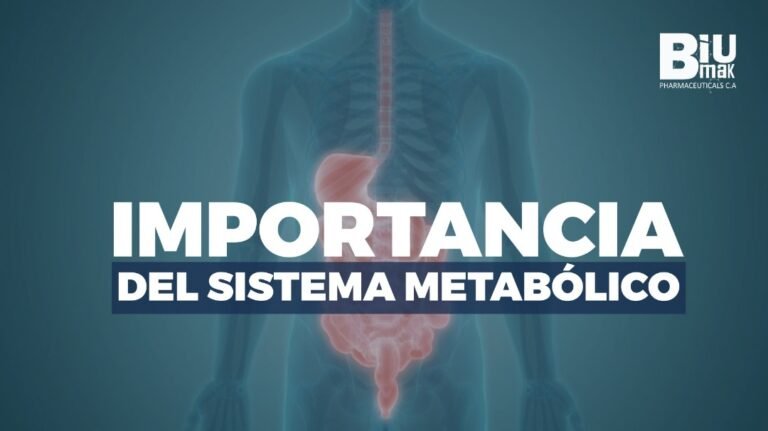 Influencia del metabolismo en la buena salud